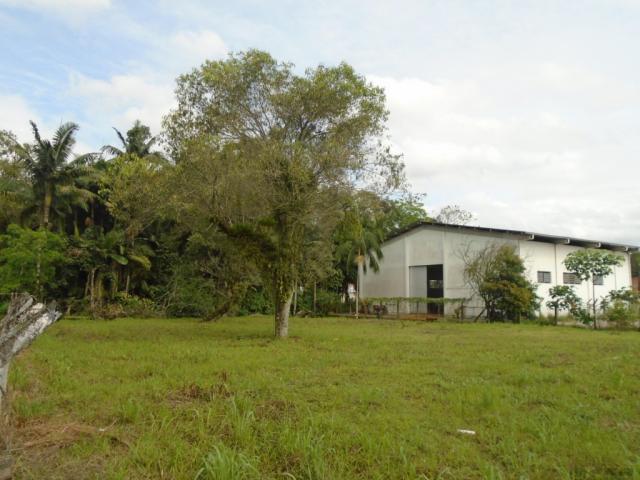 Terreno para alugar em Pirabeiraba, Joinville cod:00444.008 - Foto 5