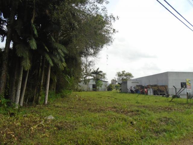 Terreno para alugar em Pirabeiraba, Joinville cod:00444.007 - Foto 3
