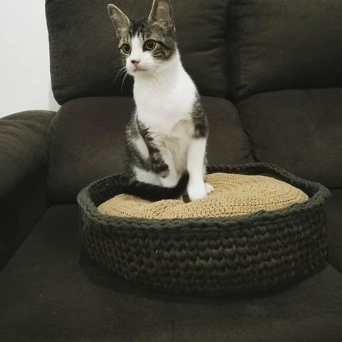 Cama tipo cesto com almofada Pet