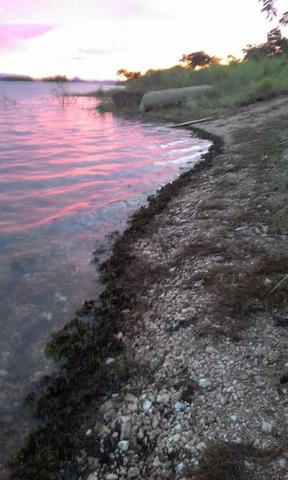 Terreno no manso