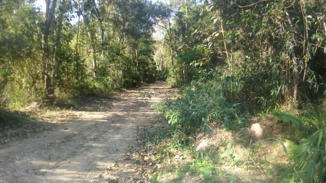 Atenção !! Deu a louca no proprietário de 10mil m2 por 70 mil - Foto 5