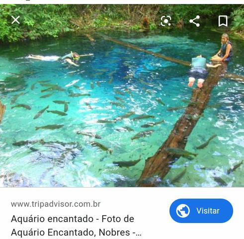 Terrenos - Foto 4