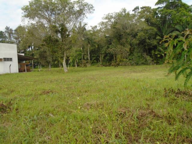 Terreno para alugar em Pirabeiraba, Joinville cod:00444.008 - Foto 8