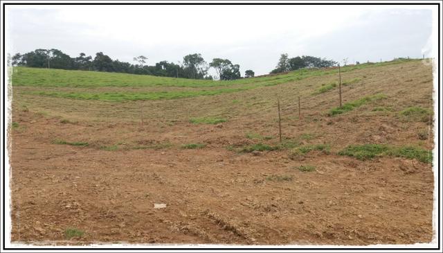 Negociação diretamente com proprietário - Foto 3
