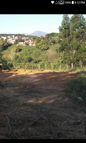 Lotão