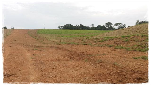 Vendo com urgência meu terreno em Ibiúna - Foto 3