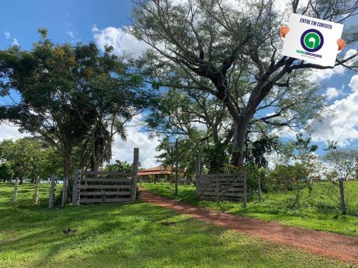 Fazenda 1.040 ha acorizal - Foto 6