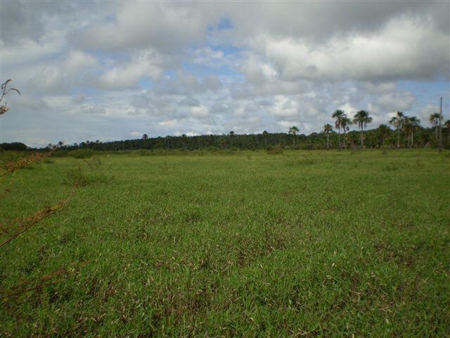Fazenda dupla aptidão Arinos MG