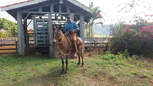 Fazenda Agricultura e Pecuária-Completa Arrendamento - Foto 20