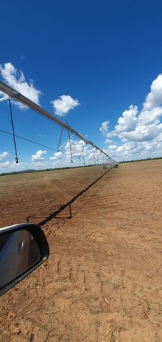 Fazenda de 501 alqueires em Peixe-TO - Foto 5