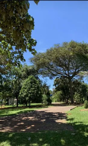 Duas chacaras juntas , área total 5,2 ha .DF 140 , próximo ao Alphaville/Jardim ABC