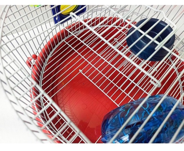 GAIOLA HAMSTER ARENA REDONDA - Foto 3