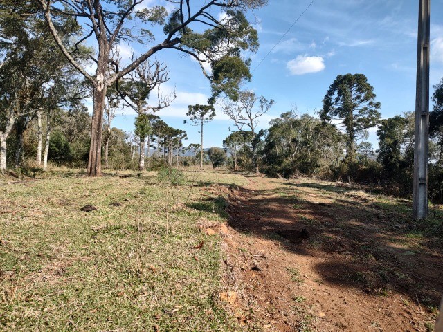 Chácara de 2 hectares à venda