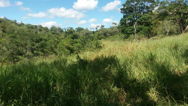 Cidade ilhéus região Japu, Sitio 72 hectares - Foto 6