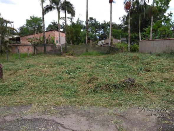 Terreno à venda, 260 m² por R$ 40.000 - Sítio do Campo - Morretes/PR