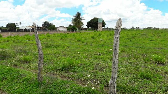 Fazenda com 170 hectares na região de monte alegre - Foto 13