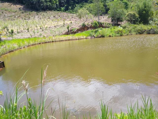 Sítio Viana 5 alqueires - Foto 5