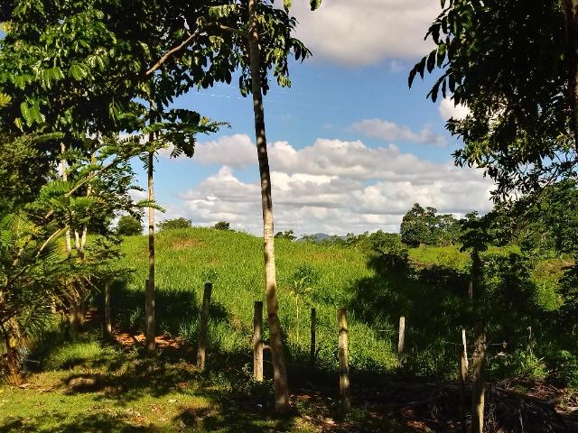 Fazenda Sao Jose - Foto 14