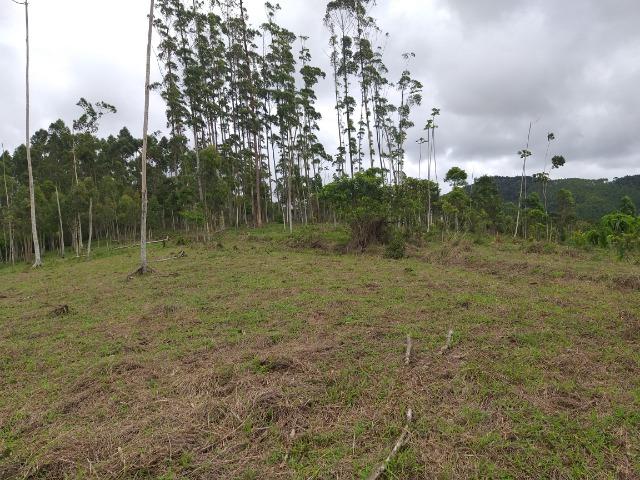 Permuta terreno para chacrinha de 6 mil medindo 30 x 200 de fundos - Foto 8
