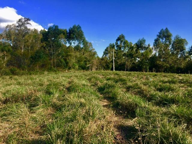 Chácara Escriturada, Sucesso de Vendas - Garanta Já a Sua! - Foto 6