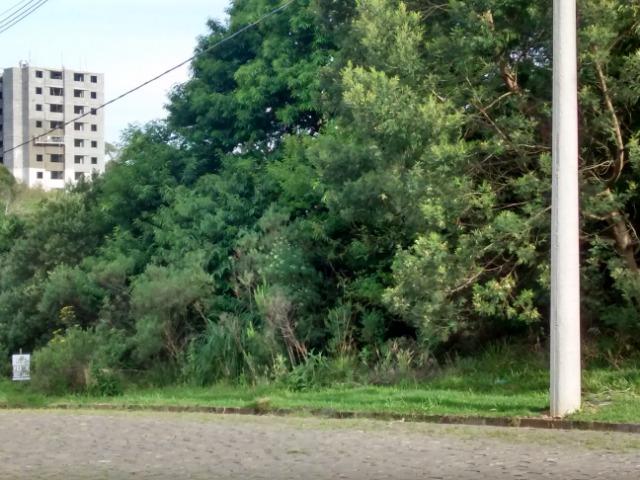 Terenos em ótima localização - Foto 4