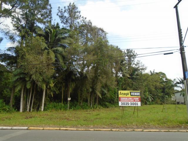 Terreno para alugar em Pirabeiraba, Joinville cod:00444.007 - Foto 13