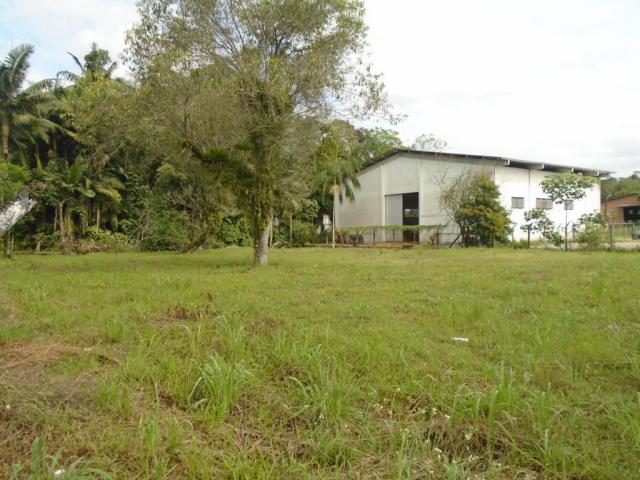Terreno para alugar em Pirabeiraba, Joinville cod:00444.008 - Foto 2