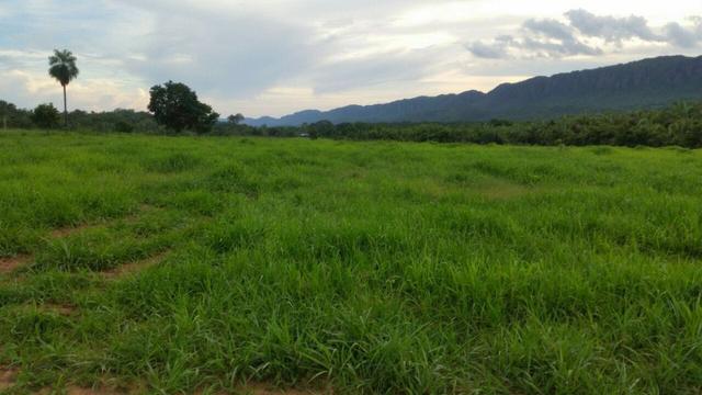 Fazenda em Rosario Oeste - 457ha - Foto 7