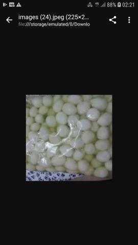 Ovos de codorna em conserva 1kg - leia