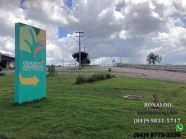 A partir de R$ 245,00 a parcela no Jardim Arvoredo! - Foto 15