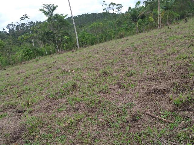 Permuta terreno para chacrinha de 6 mil medindo 30 x 200 de fundos - Foto 7
