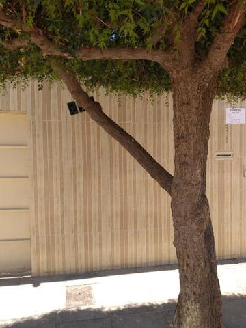 Excelente oportunidade - Foto 3