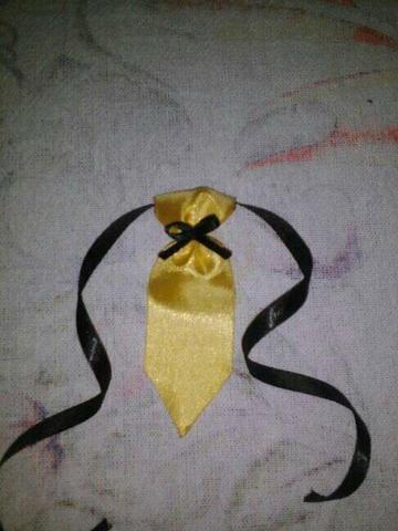 Gravatinha - Foto 3