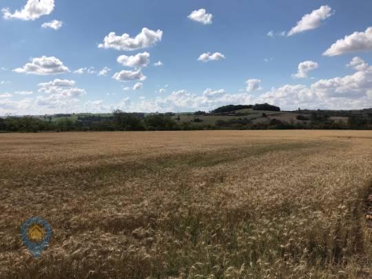 Alugue sítio de 48400 m² (esperança, londrina-pr) - Foto 3