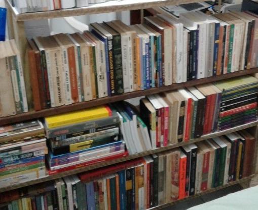 Livros diversos Literatura, Filosofia, Economia, Didáticos (confirme por mensagem)