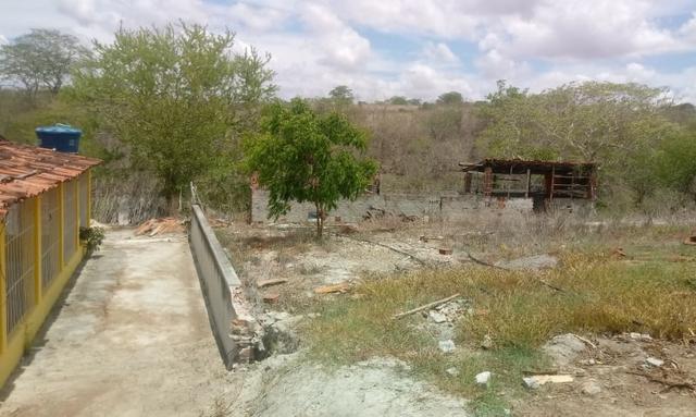 Ótima propriedade de 2.5 hectares, com casa sede, em Avencas de Cima-PE - Foto 13