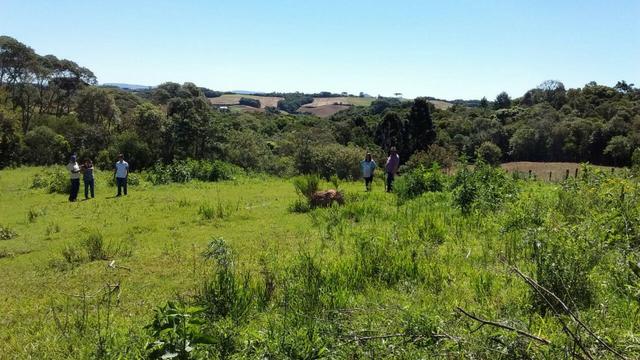 Chacara em Campo Magro casa 300mts Piscina est permuta Imoveis carros - Foto 17