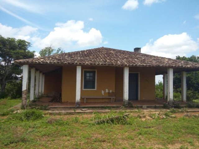 Mundo Novo Fazenda - Foto 16