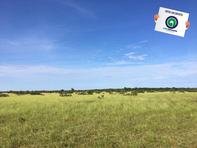 Fazenda em nossa senhora do livramento - Foto 6