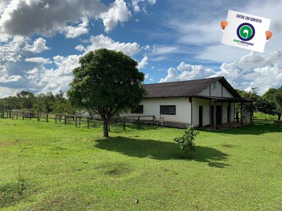 Fazenda 1.040 ha acorizal - Foto 20