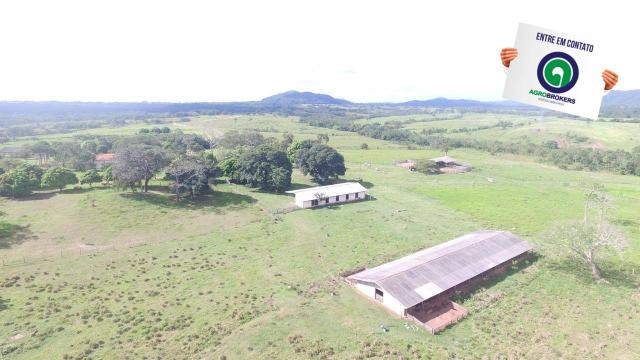 Fazenda 1.040 ha acorizal - Foto 2