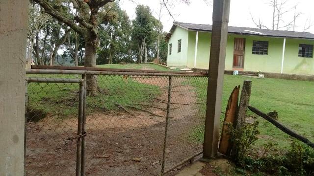 Engorda de Frango Caipira - Foto 8