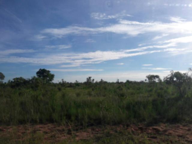 Fazenda dupla aptidão Arinos MG - Foto 8