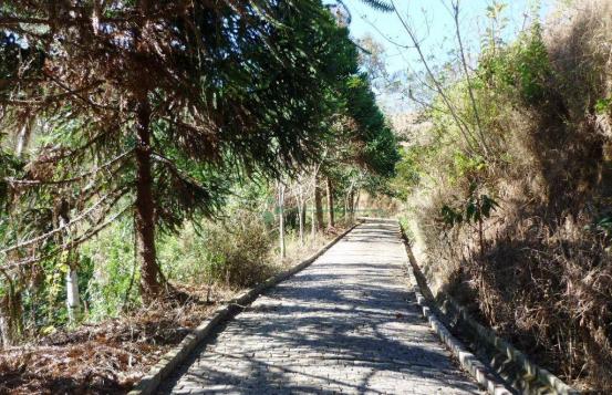 Sítio rural à venda, Providência, Teresópolis. - Foto 15