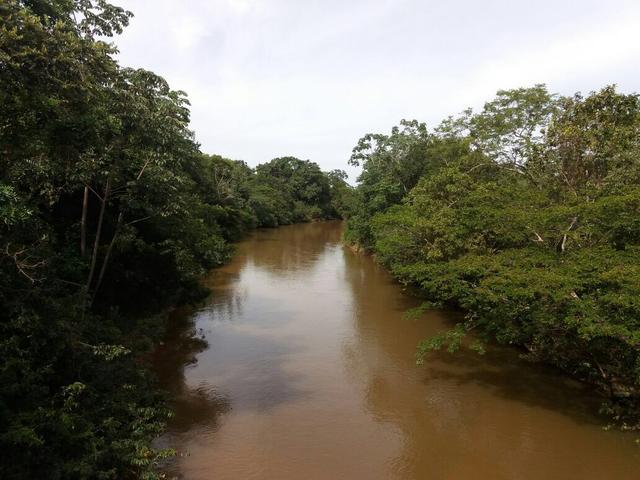 Fazenda dupla aptidão Arinos MG - Foto 4