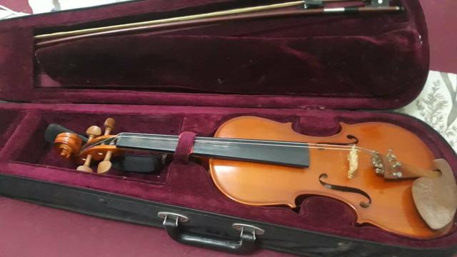Violinos - Foto 5