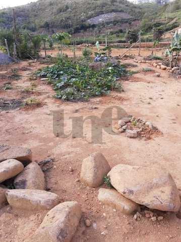 Une Imóveis - Terreno no bairro Santa Cruz/VR -TE26514 - Foto 2