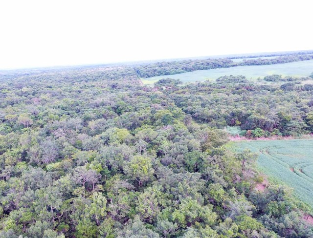 Fazenda em Divinopolis-TO. Bruta. - Foto 4