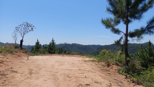 Terreno com 20.000m2 em Pedra Azul | Domingos Martins - Foto 9