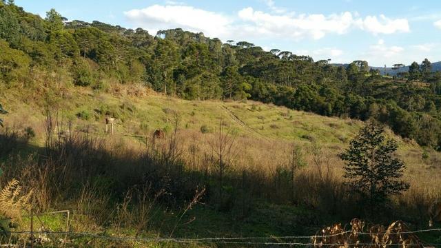 Sitio em Urubici /chacara em Urubici - Foto 8